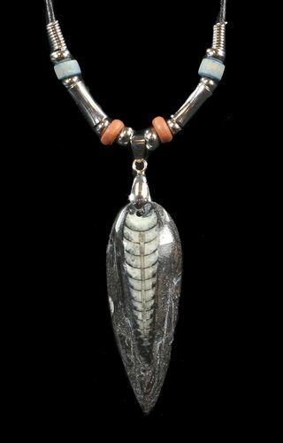 Fossil Orthoceras (Devonian Cephalopod) Necklace #43106